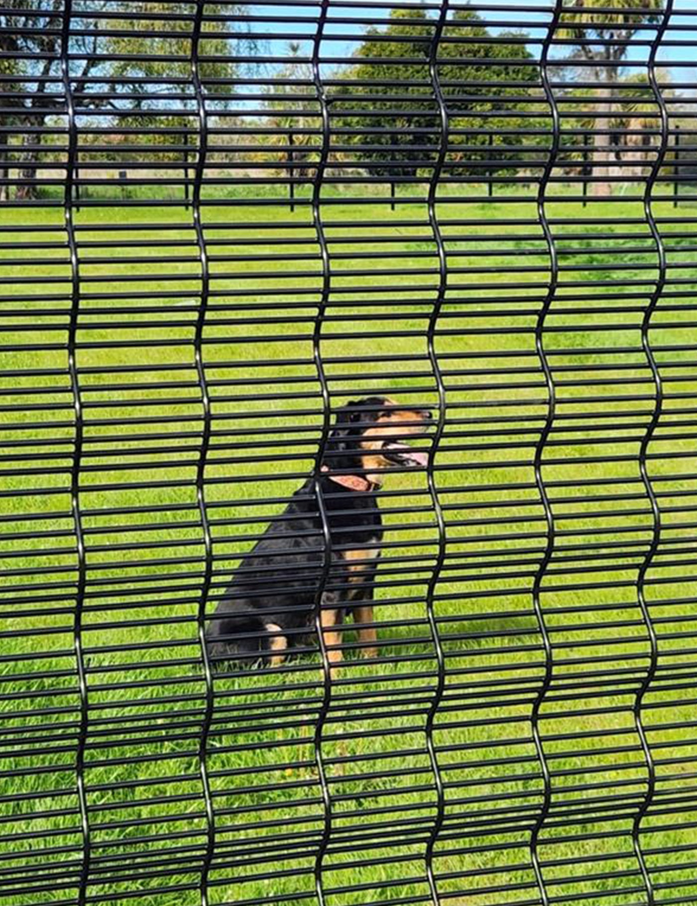 Ngaru Mesh 358 Rigid Wire Security Fence